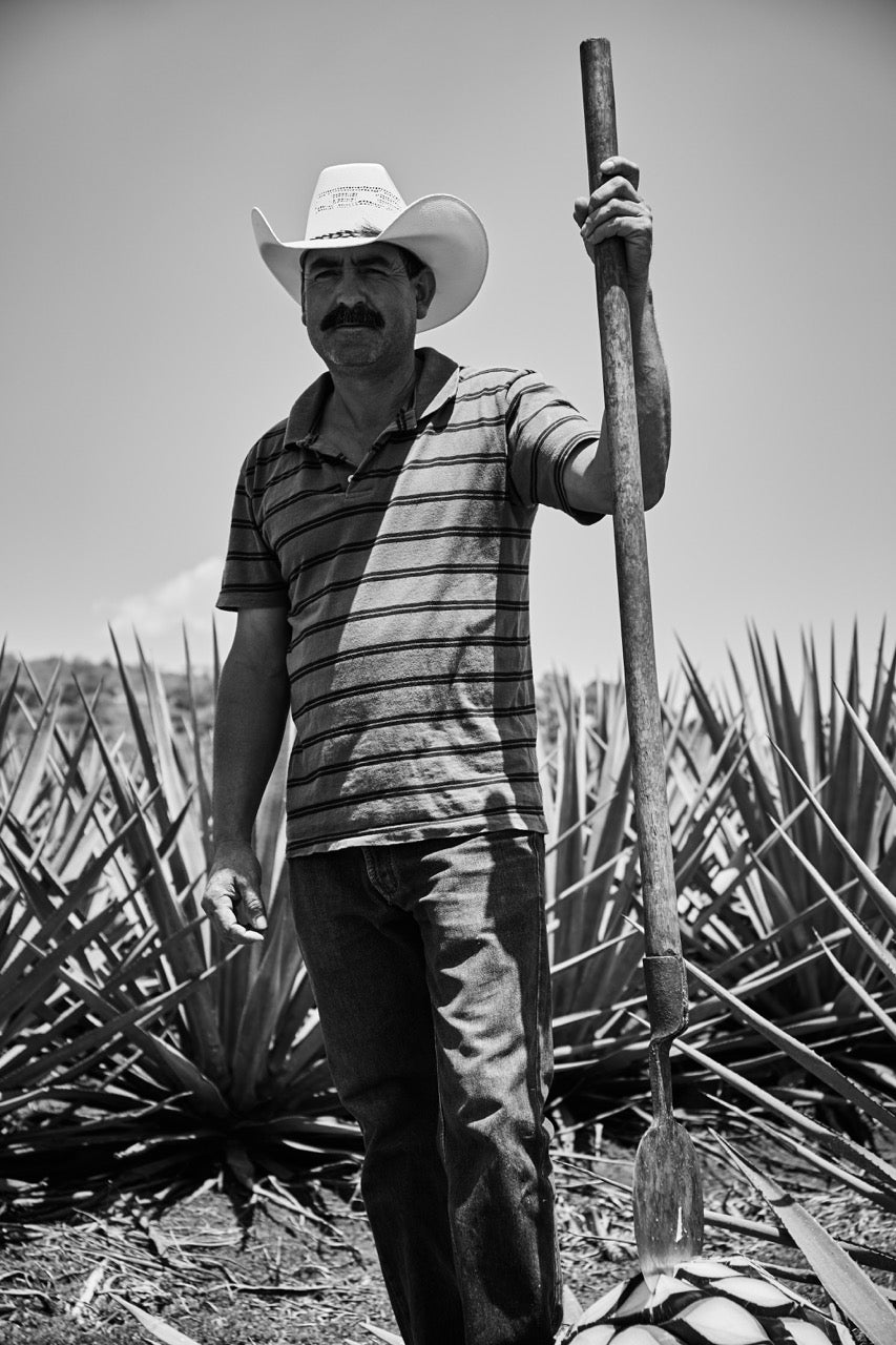 SUSTAINABILITY – Ola Sol